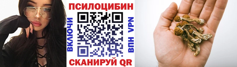 где купить наркотик Жигулёвск Галлюциногенные грибы Cubensis