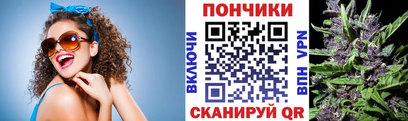 MEGA маркетплейс  Жигулёвск  Шишки марихуана ГИДРОПОН  цена  